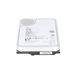 Seagate 12TB 7.2K SAS Hard Drive